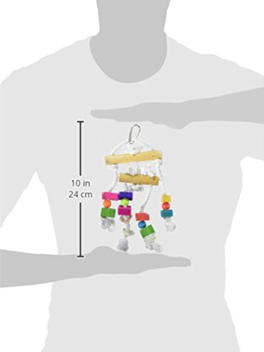 Prevue Hendryx Bodacious Bites Bird Toy Size: Small, Color: Multi Colored