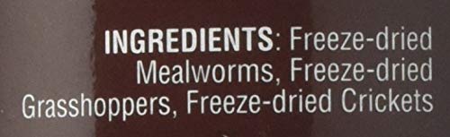 Flukers Bearded Dragon Medley Treat Food, 3.2-Ounce (72023)