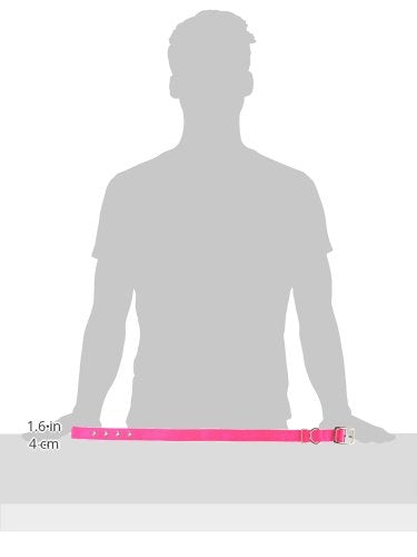 Hamilton Thick Nylon Deluxe Dog Collar, 1-Inch by 24-Inch Double, Hot Pink
