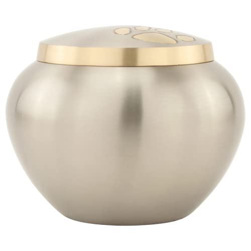 Paw Print Round Pet Cremation Urn For Ashes In Pewter Large, Brass, Silver Urn, Dog Urn, Cat Urn, Large Sized Pet Urn, 4.75 Inches High