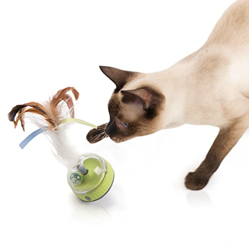 Smartykat Silly Spinner Electronic Motion & Light Up Cat Toy, Battery Powered - Blue/Green, One Size