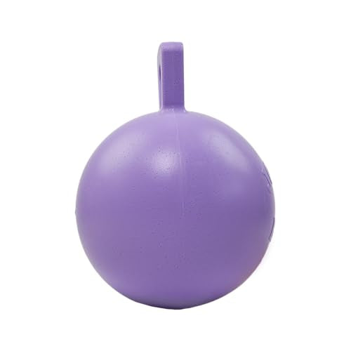 Jolly Pets Tug-n-Toss Heavy Duty Dog Toy Ball with Handle, 10 Inches/X-Large, Light Purple