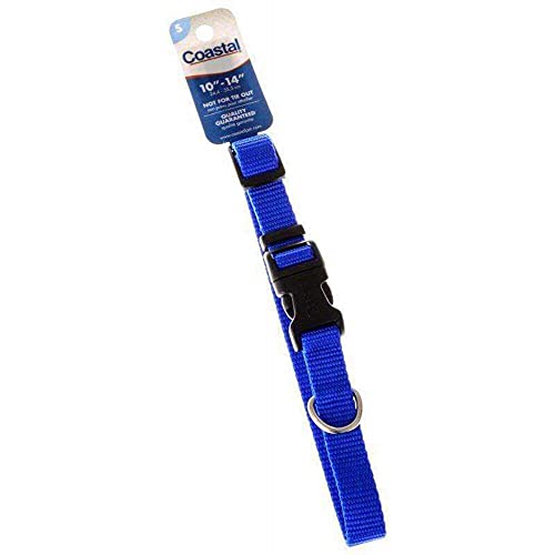 Aspen Pet Nylon Adjustable Collar Small Blue,10 To 14 Collars & Leashes
