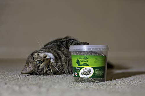 Multipet Catnip Garden Tub Toy, 2.5 Oz