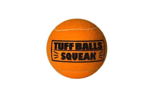 Petsport Jr Tuff Ball Squeak Toy Mesh for Dogs | Durable NonToxic Tennis Ball Dog Toy | Interactive Squeaky Pet Toy | 5 cm | Pa