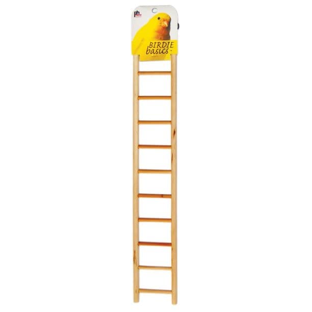 Prevue Birdie Basics Ladder 11 Rung Ladder - Pack Of 44