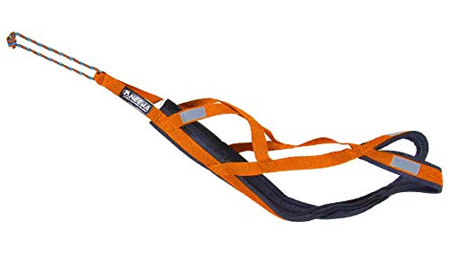 Neewa Sled Pro Harness (Medium, Orange), Dog Pulling Harness, Husky Harness, Mushing Harness, X Back Harness Dog for Dog Exercis