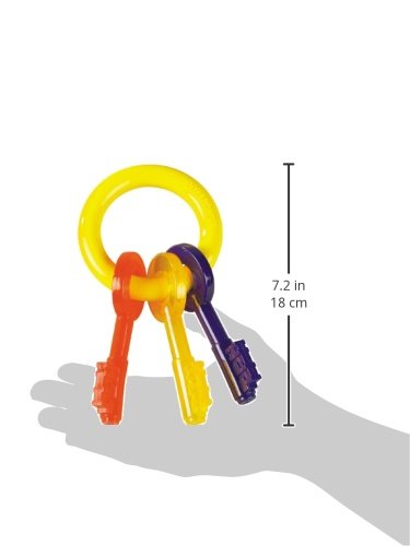 Nylabone Puppy Chew Key Ring Toy, Toys For Teething Puppies, Multi Color, Bacon Flavor, Small - Up To 25 Lbs, 1 Count