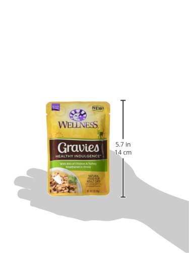 Wellness Healthy Indulgence Natural Grain Free Wet Cat Food, Gravies Chicken & Turkey, 3-Ounce Pouch (Pack Of 24)