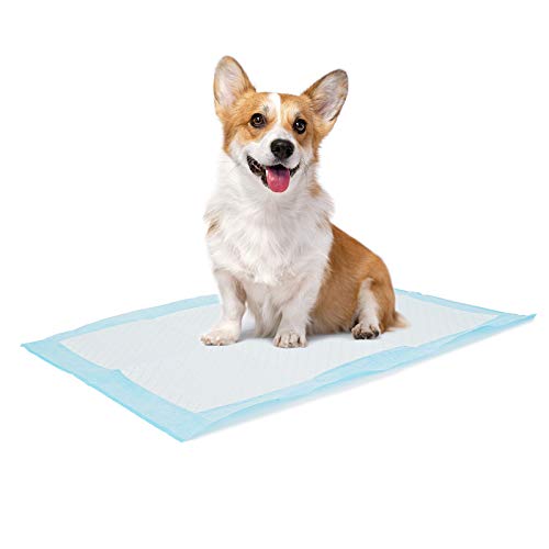 Bolux Dog And Puppy Training Pads, 13??18? Disposable Dog Pee Pads, 100/Counts Ultra Absorbent & Leak-Proof Pet Underpads, Dry Q