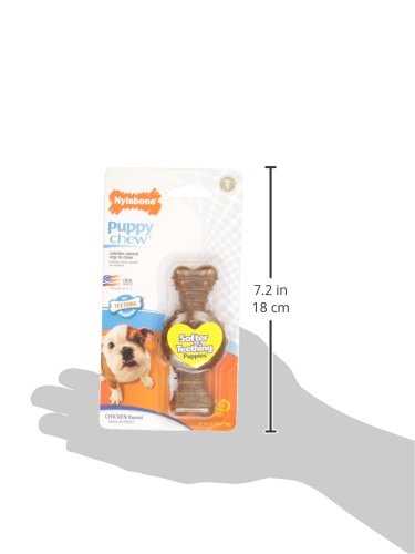 Nylabone Ring Bone Chew Toy for Puppies, Puppy Teething Toys, Puppy Enrichment Toys, Chicken Flavor, X-Small Dogs - Up to 15 lbs