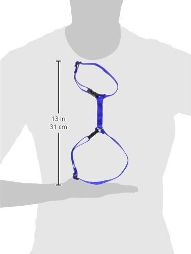 Lupinepet Basics 1/2' Blue 12-20' H-Style Harness For Small Pets