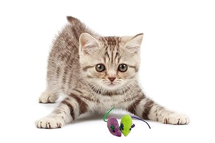 Meenamart.Com Rat Playing Toy For Cat And Kitten(Pack Of 2)