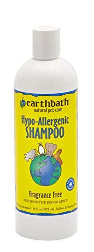 Earthwhile Endeavors Inc 16 Oz. Hypo-Allergenic Shampoo