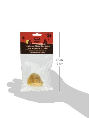 Fluker'S Natural Sea Sponge For Hermit Crabs (3 Pack)
