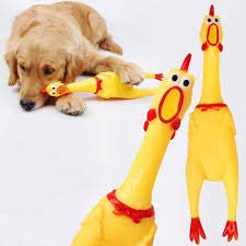 Sage Square Squeaky Big Chicken Dog Toy: The Perfect Combination of Fun, Durability & Safety for Dog, A MustHave Interactive To