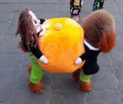 Pet Life 'Pumpkin Mon' Halloween Pet Dog Costume(D0102HAXPLG.)