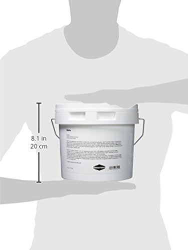 Seachem Safe Concentrated Dry Conditioner for Fresh & Salt Water, 8.8 lb, Model 389, White