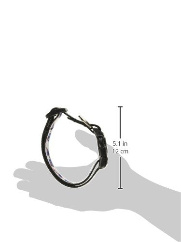 Pet Dog & Cat Nylon Collar or Leash, &quot;American Owls&quot; MD Collar