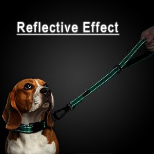 PLUTUS PET Short Training Dog Leash, 18 Inch Heavy Duty Traffic Leash, Padded Handle, Teal, for Medium Large Dogs