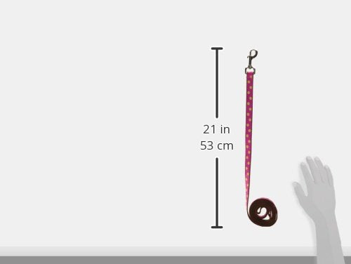 Medium Fuchsia/Lime Dot Dog Leash: 3/4 Wide, 6ft Length - Made in USA.