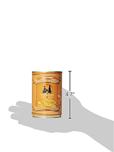 Weruva Classic Dog Food, Jammin Salmon with Chicken & Salmon in Gravy, 14oz Can (Pack of 12), Red (Jammin Salmon)