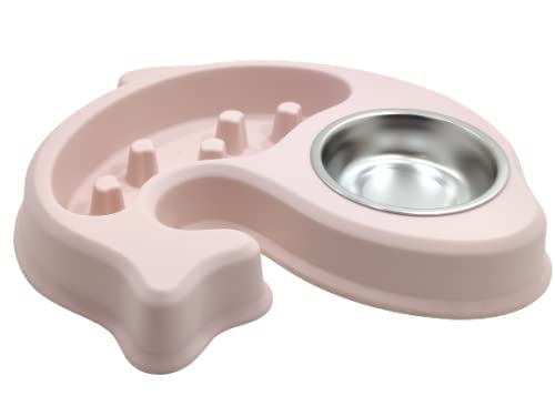 D&C Paws Pet Bowl Stainless Steel Dog Pet Double Bowls Plastic Slow Food Bowls Feeding And Drinking Bowls AntiSlip Mats, Ideal 