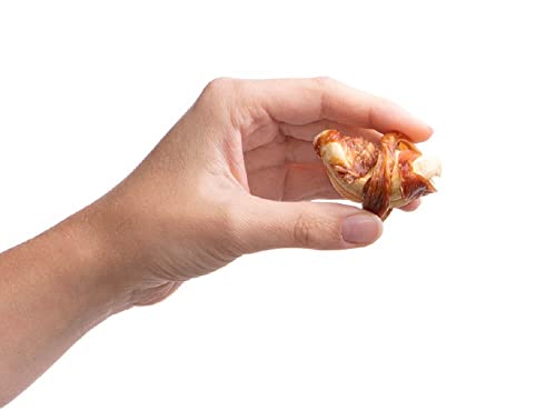 Preen Pets Turkey & Apple Twist Dog Treats (1LB)