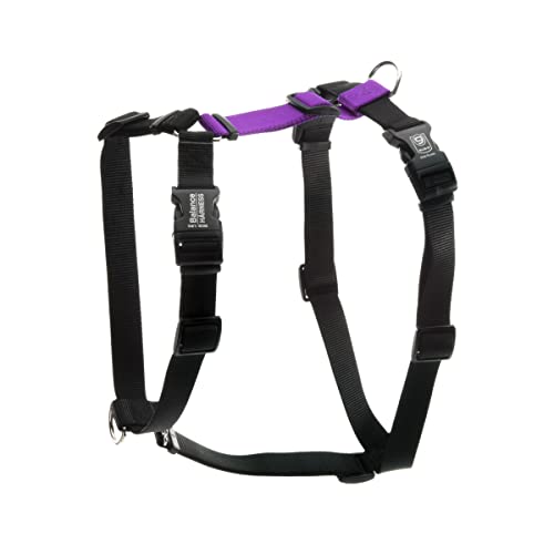 Blue-9 Buckle-Neck Balance Harness, Fully Customizable Fit No-Pull Harness, Ideal For Dog Training And Obedience, Made In The Usa, Purple, Medium/Large