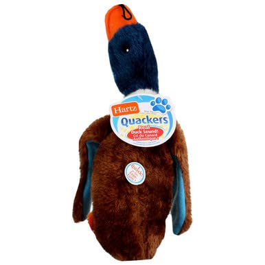 Hartz 05445 At Play Quackers Dog Toy Assorted Styles3