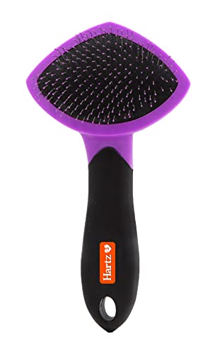 Hartz Groomer's Best Small Slicker Brush for Cats & Small Dogs, 1 Count, Black/Violet - Ideal for Grooming and Removing Loose Fur