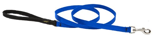 LupinePet Basics 1/2 Blue 6-Foot Padded Handle Leash for Small Pets