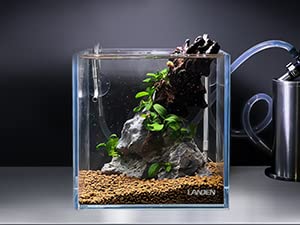 LANDEN 25C 3.7 Gallon Cube Rimless Low Iron Aquarium Tank, W9.84  D9.84  H9.84 in(25x25x25cm) 5mm Thickness with Nano Foam Level