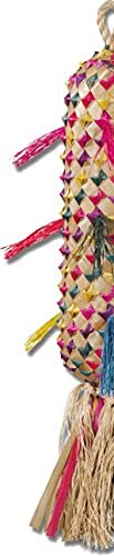 Planet Pleasures Spiked Pinata Sale Pinatas Natural Bird Toy, X-Large/17