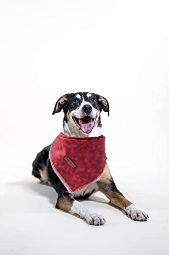 Elegant Little Tail Dog Bandanas - 1 Pack Washable Christmas Scarves For Small & Medium Dogs