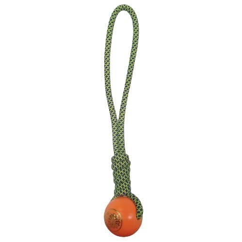 Dog Trust Plastic Ball 13 Inch Handle Rope Toys Puppy Toys Chew Toys Dog Toys Teething Toys