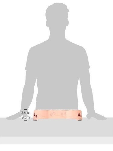 Loving Pets Dolce Diner Dog Bowl, Medium, Pink