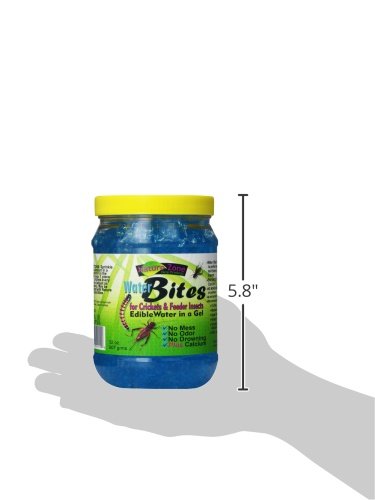NZ 32OZ CRICKET WATER BITES