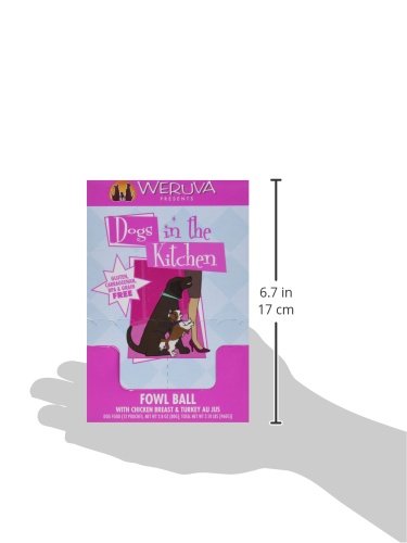 Weruva Dogs in The Kitchen, Fowl Ball with Chicken Breast & Turkey Au Jus Dog Food, 2.8oz Pouch (Pack of 12)