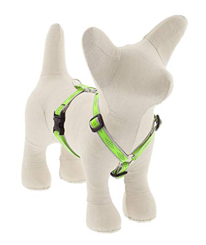 Lupine Reflective Small Adjustable Dog Harness 1/2'' Wide Green Diamond with 12-20'' Girth
