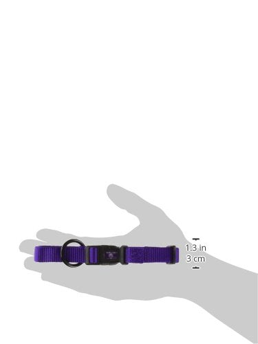 Hamilton Adjustable Nylon Dog Collar, Purple, 5/8' X 12-18'
