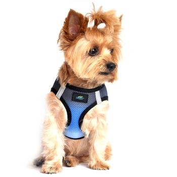 American River Dog Harness Ombre Collection - Midnight Sky XXL