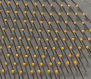 Pet Life A Bryer 2-In-1 Hand-Inserted Microfiber Pet Grooming Towel And Brush