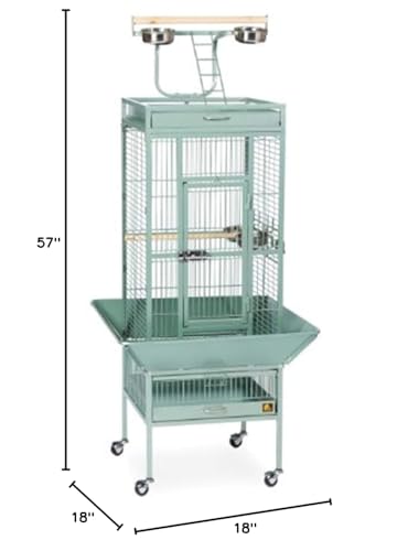 Prevue Hendryx Pet Products Wrought Iron Select Cage - Sage, 18 X 18 X 57