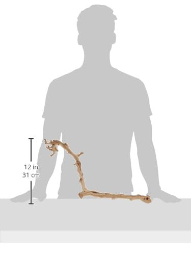 Exo Terra Forest Branch, Large