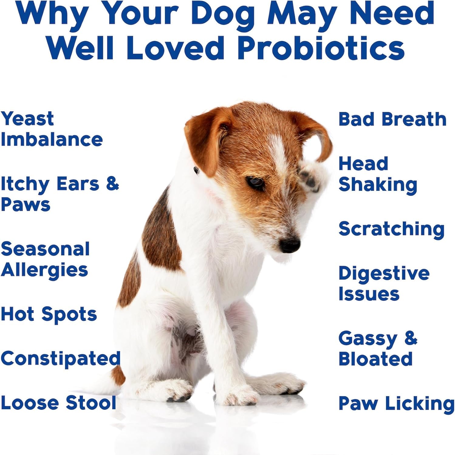 Well Loved Probiotics for Dogs with Prebiotics & Digestive Enzymes