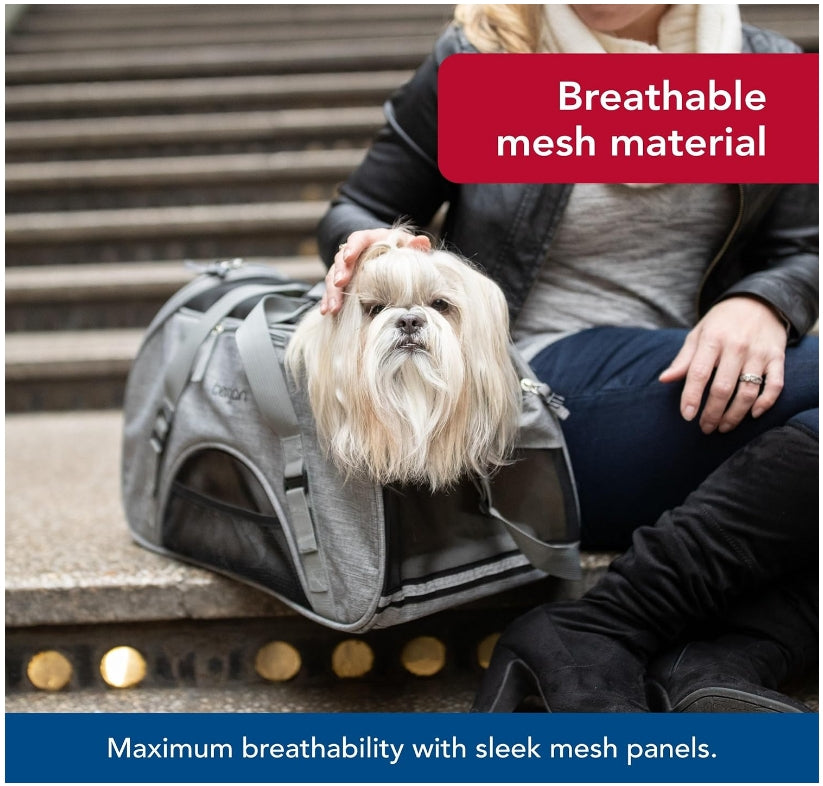 Bergan Comfort Carrier for Pets, Large, Black - 19L x 10W x 13H, Durable and Stylish Travel Solution