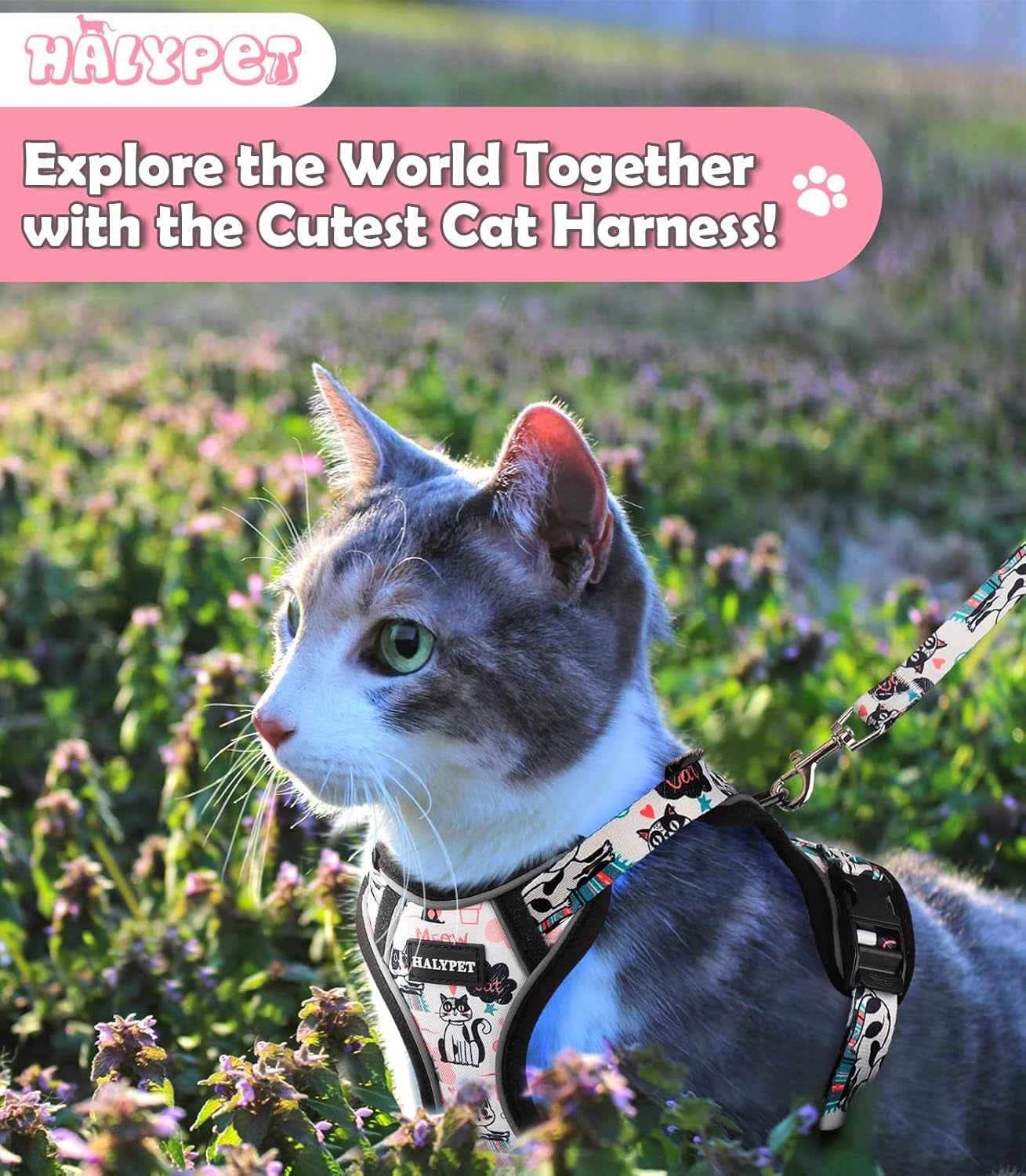 Escape-Proof Cat Harness & Leash Set with 59-Inch Leash, XS–M
