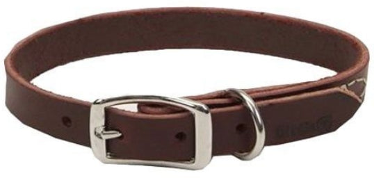 Circle T Latigo Town Dog Collar