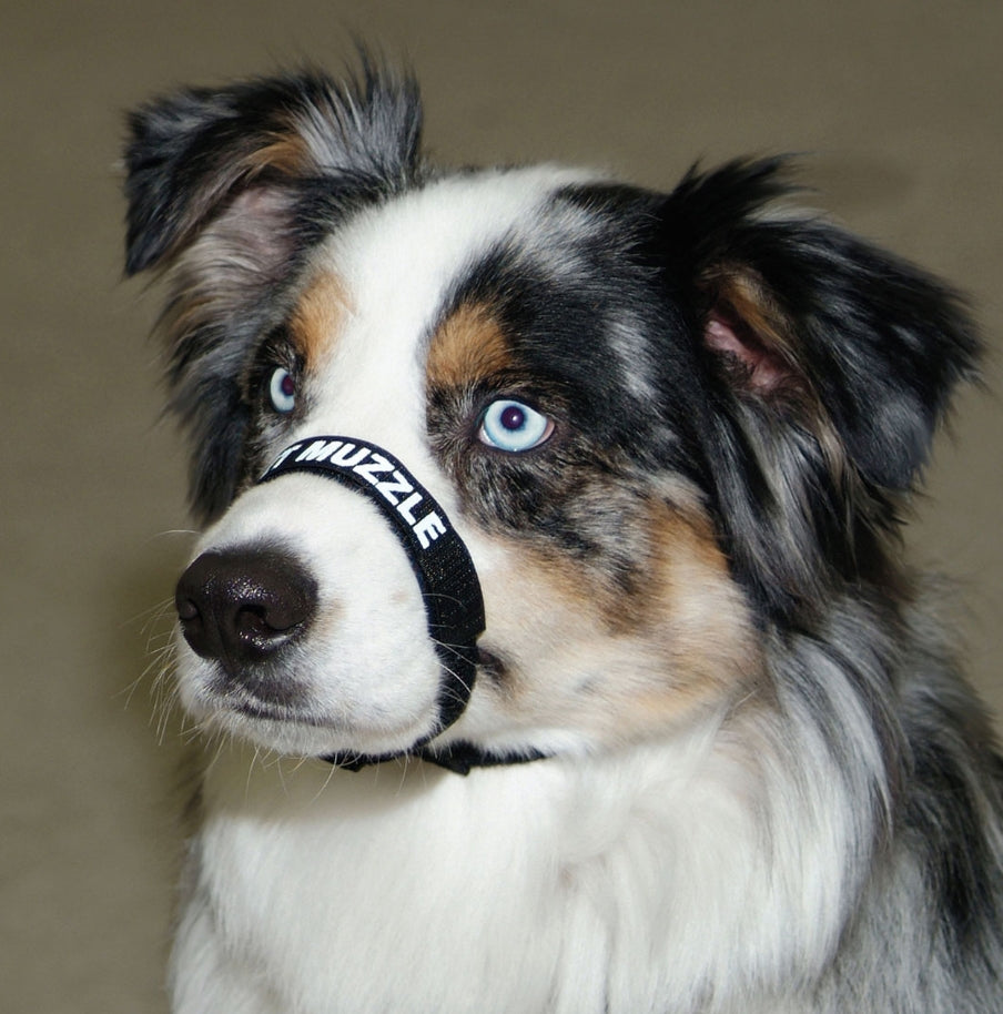 Coastal Pet Adjustable Comfort Muzzle